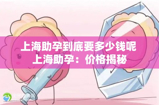 上海助孕到底要多少钱呢 上海助孕:价格揭秘 上海助孕到底要多少钱呢 上海助孕:价格揭秘