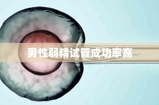 男性弱精试管成功率高 男性弱精试管成功率高