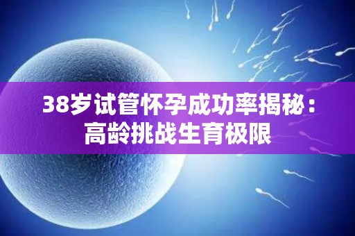 38岁试管怀孕成功率揭秘：高龄挑战生育极限