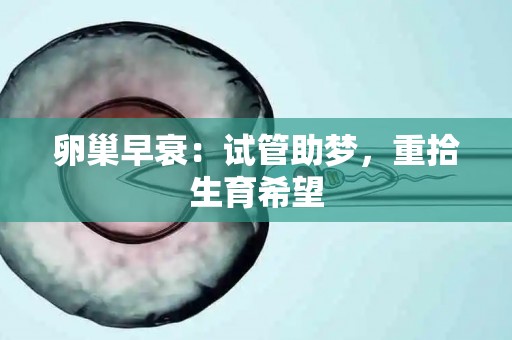 卵巢早衰：试管助梦，重拾生育希望