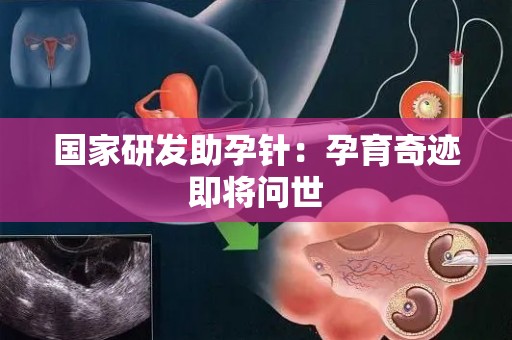 国家研发助孕针：孕育奇迹即将问世