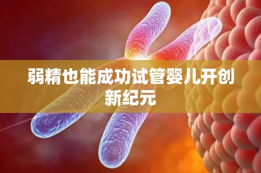 弱精也能成功试管婴儿开创新纪元