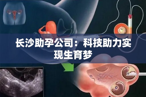 长沙助孕公司：科技助力实现生育梦