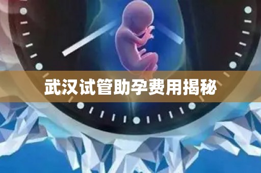 武汉试管助孕费用揭秘