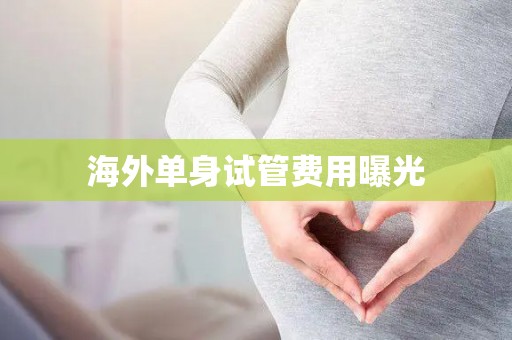 海外单身试管费用曝光