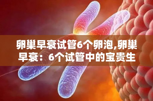 卵巢早衰试管6个卵泡,卵巢早衰：6个试管中的宝贵生命