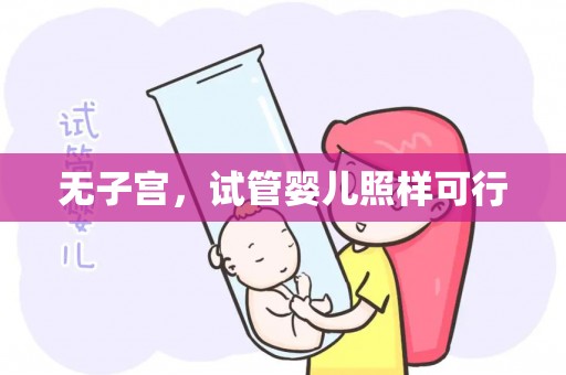 无子宫，试管婴儿照样可行