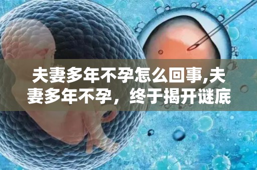 夫妻多年不孕怎么回事,夫妻多年不孕,终于揭开谜底 夫妻多年不孕怎么回事,夫妻多年不孕,终于揭开谜底