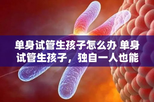 单身试管生孩子怎么办 单身试管生孩子，独自一人也能拥有幸福的家