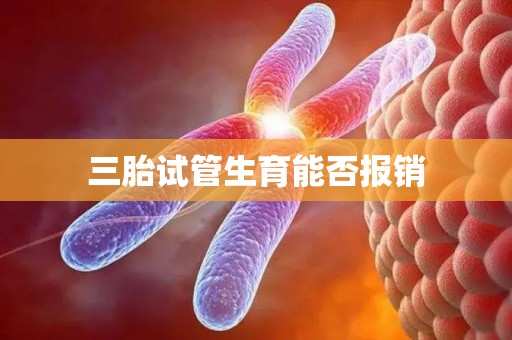 三胎试管生育能否报销