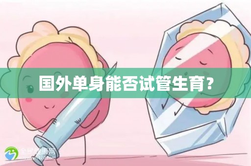 国外单身能否试管生育？