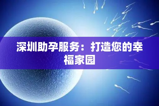 深圳助孕服务：打造您的幸福家园