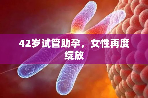 42岁试管助孕，女性再度绽放