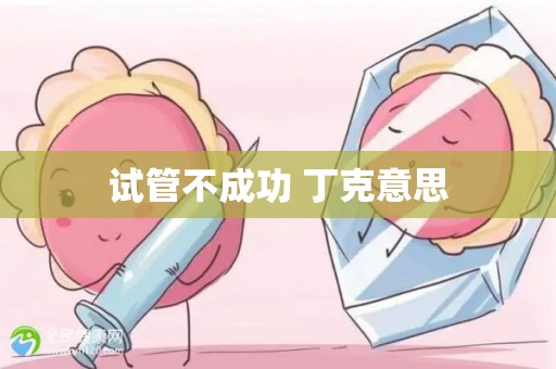 试管不成功 丁克意思