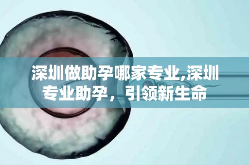 深圳做助孕哪家专业,深圳专业助孕，引领新生命