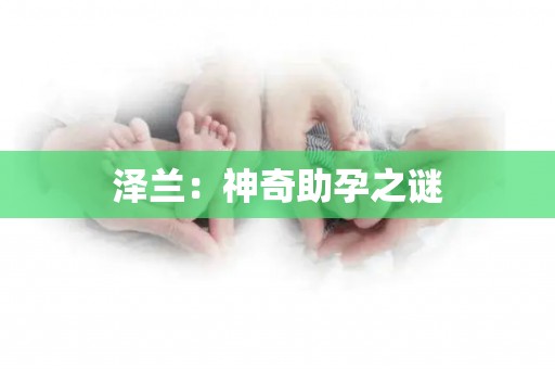 泽兰：神奇助孕之谜