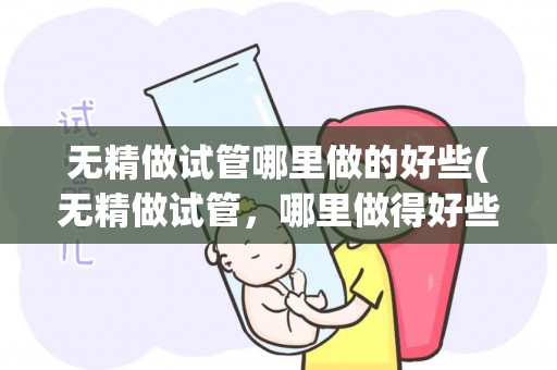 无精做试管哪里做的好些(无精做试管，哪里做得好些？)
