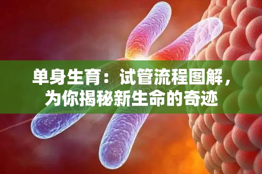 单身生育：试管流程图解，为你揭秘新生命的奇迹