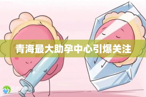 青海比较大助孕中心引爆关注
