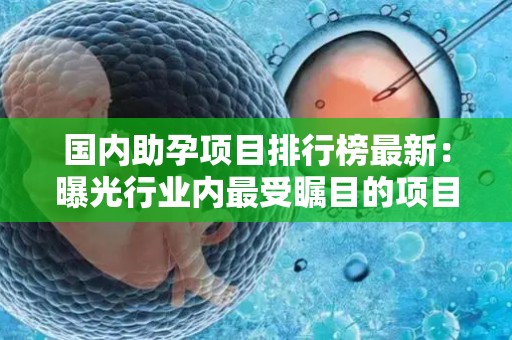 国内助孕项目排行榜最新：曝光行业内最受瞩目的项目