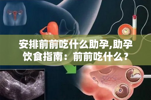 安排前前吃什么助孕,助孕饮食指南：前前吃什么？