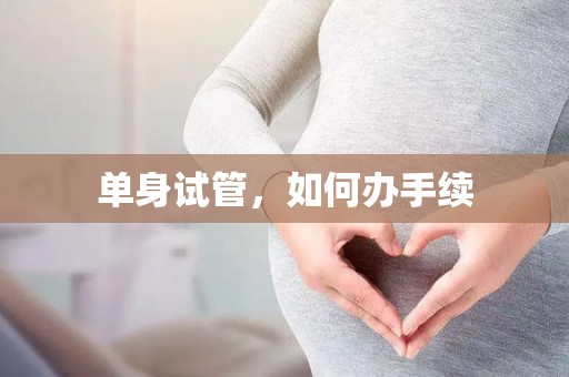 单身试管，如何办手续