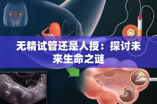 无精试管还是人授：探讨未来生命之谜