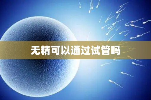 无精可以通过试管吗